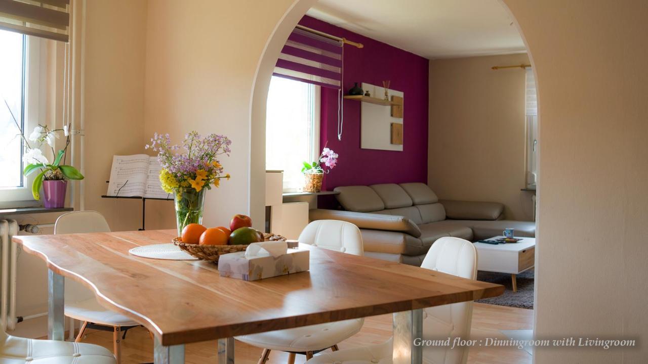 Entire House In Schwarzwald With Mountain View, Private Sauna, Gym, Garden And Terraces Unterkirnach ภายนอก รูปภาพ