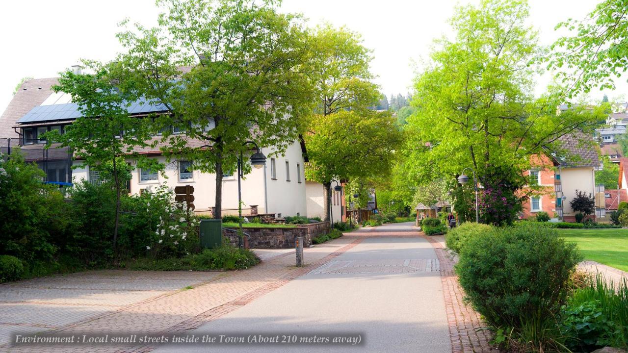 Entire House In Schwarzwald With Mountain View, Private Sauna, Gym, Garden And Terraces Unterkirnach ภายนอก รูปภาพ