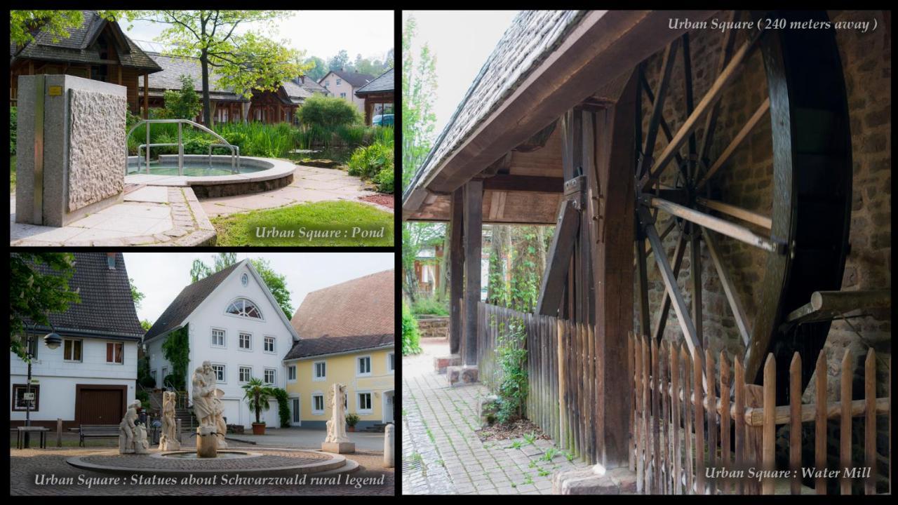 Entire House In Schwarzwald With Mountain View, Private Sauna, Gym, Garden And Terraces Unterkirnach ภายนอก รูปภาพ