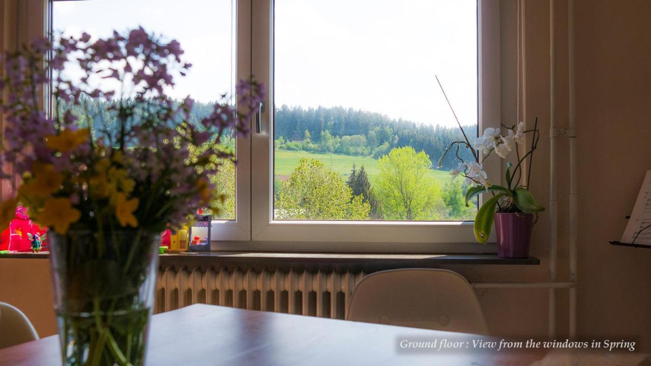 Entire House In Schwarzwald With Mountain View, Private Sauna, Gym, Garden And Terraces Unterkirnach ภายนอก รูปภาพ
